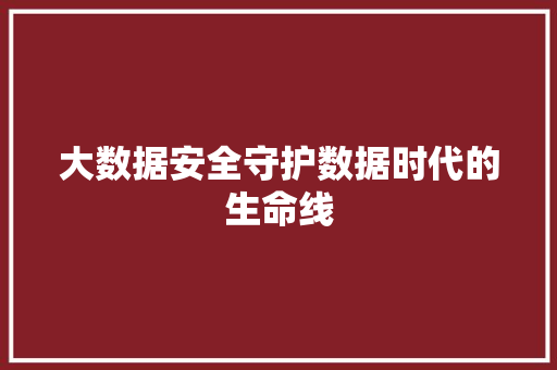 大数据安全守护数据时代的生命线  第1张