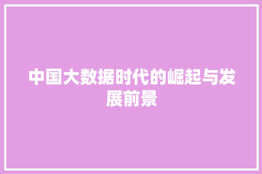 中国大数据时代的崛起与发展前景