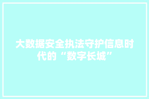 大数据安全执法守护信息时代的“数字长城”
