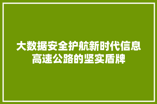 大数据安全护航新时代信息高速公路的坚实盾牌