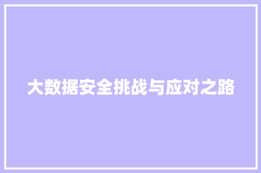大数据安全挑战与应对之路