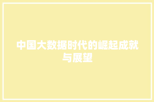 中国大数据时代的崛起成就与展望
