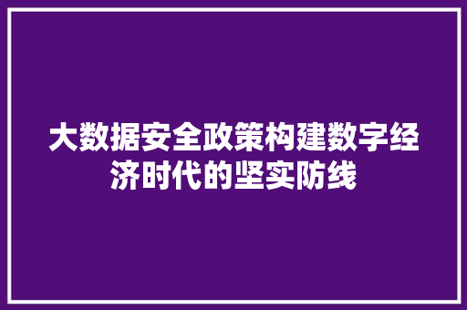 大数据安全政策构建数字经济时代的坚实防线  第1张