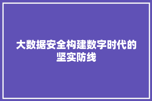 大数据安全构建数字时代的坚实防线