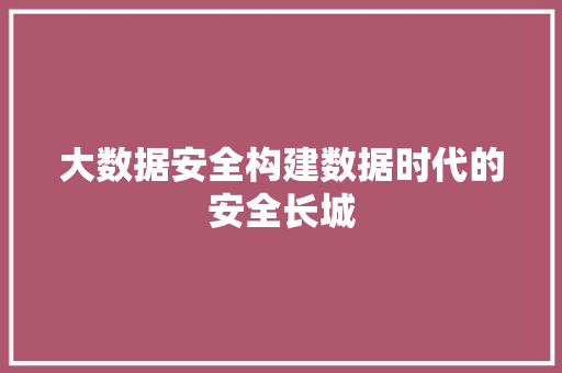 大数据安全构建数据时代的安全长城  第1张