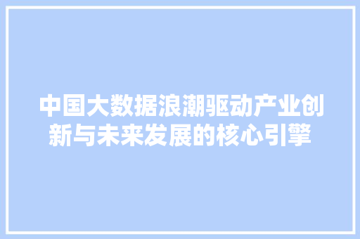 中国大数据浪潮驱动产业创新与未来发展的核心引擎