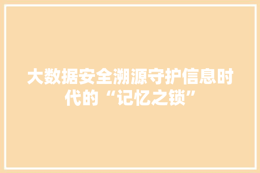 大数据安全溯源守护信息时代的“记忆之锁”