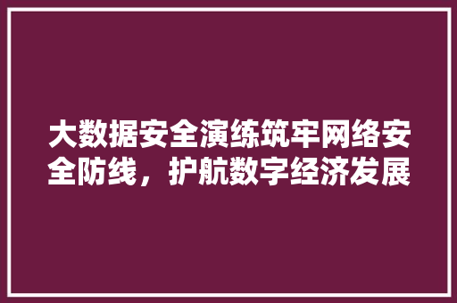 大数据安全演练筑牢网络安全防线，护航数字经济发展