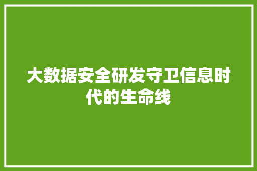 大数据安全研发守卫信息时代的生命线