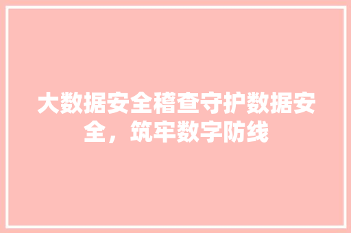 大数据安全稽查守护数据安全，筑牢数字防线