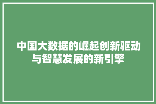 中国大数据的崛起创新驱动与智慧发展的新引擎