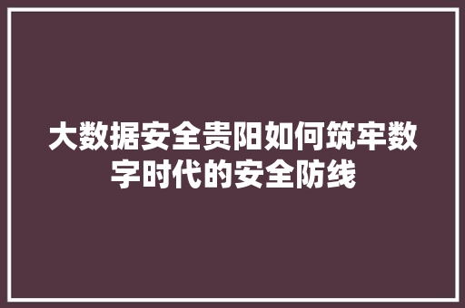 大数据安全贵阳如何筑牢数字时代的安全防线  第1张