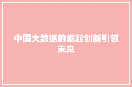 中国大数据的崛起创新引领未来