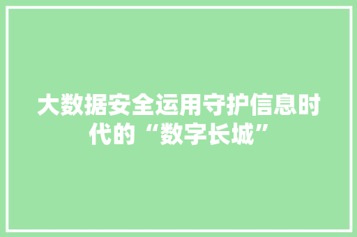 大数据安全运用守护信息时代的“数字长城”  第1张