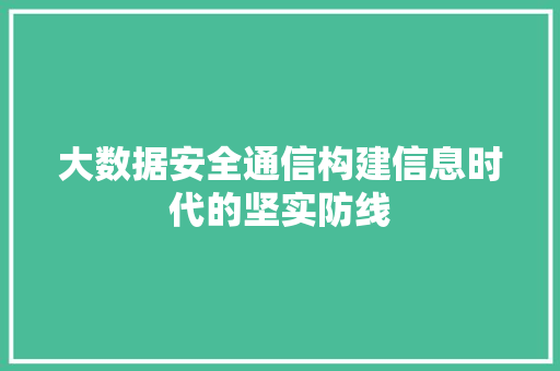 大数据安全通信构建信息时代的坚实防线
