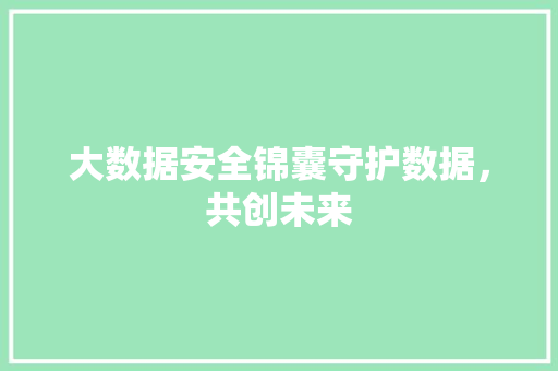 大数据安全锦囊守护数据，共创未来