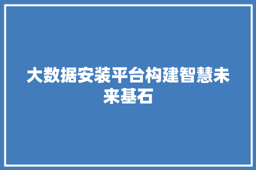 大数据安装平台构建智慧未来基石  第1张