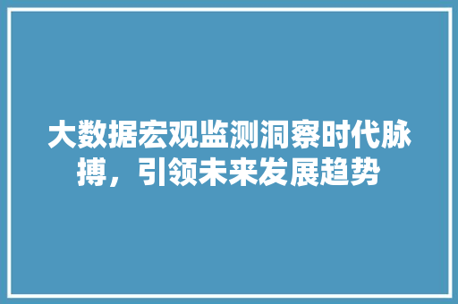 大数据宏观监测洞察时代脉搏，引领未来发展趋势