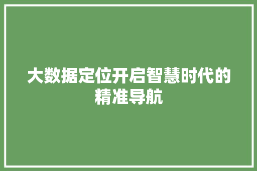 大数据定位开启智慧时代的精准导航  第1张