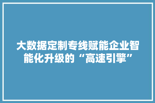 大数据定制专线赋能企业智能化升级的“高速引擎”