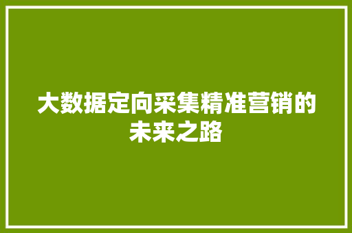 大数据定向采集精准营销的未来之路