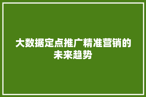 大数据定点推广精准营销的未来趋势