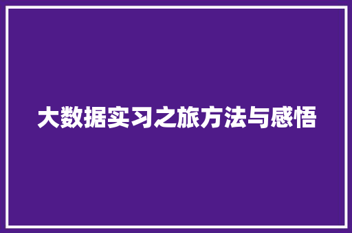 大数据实习之旅方法与感悟  第1张