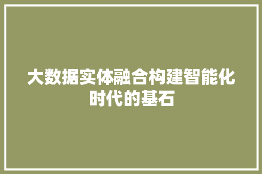 大数据实体融合构建智能化时代的基石