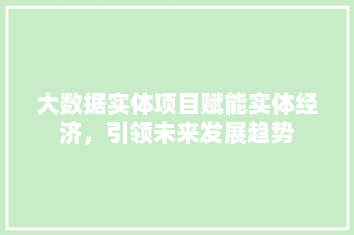 大数据实体项目赋能实体经济，引领未来发展趋势