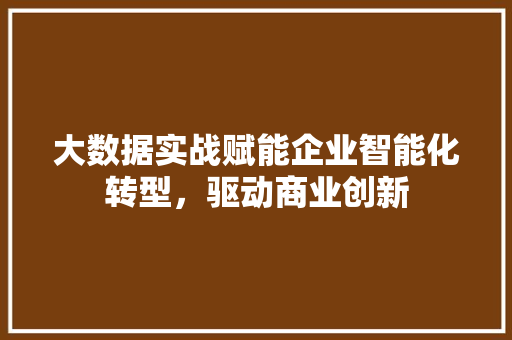 大数据实战赋能企业智能化转型，驱动商业创新