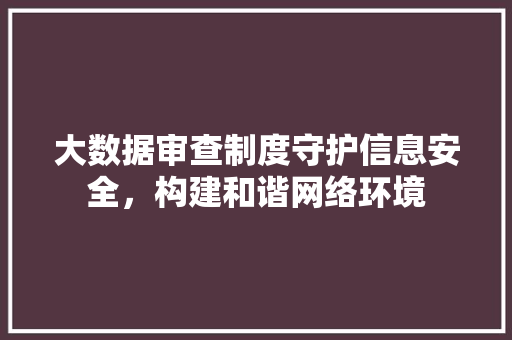 大数据审查制度守护信息安全，构建和谐网络环境  第1张