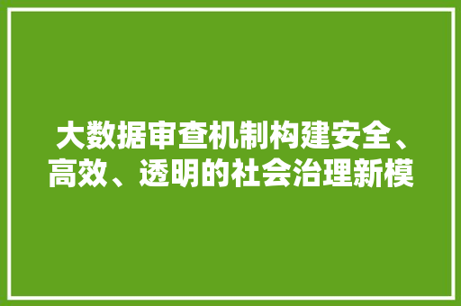 大数据审查机制构建安全、高效、透明的社会治理新模式