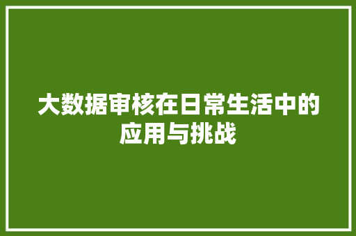 大数据审核在日常生活中的应用与挑战