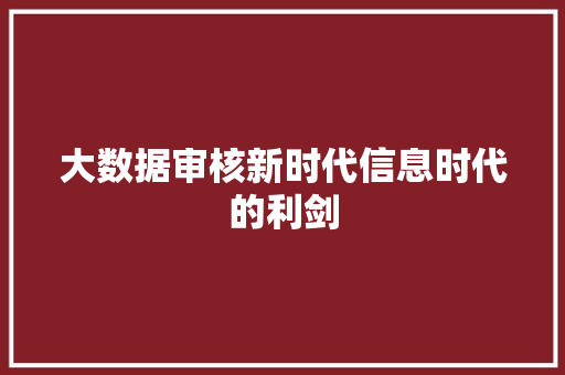 大数据审核新时代信息时代的利剑  第1张