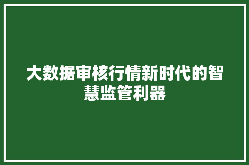 大数据审核行情新时代的智慧监管利器  第1张