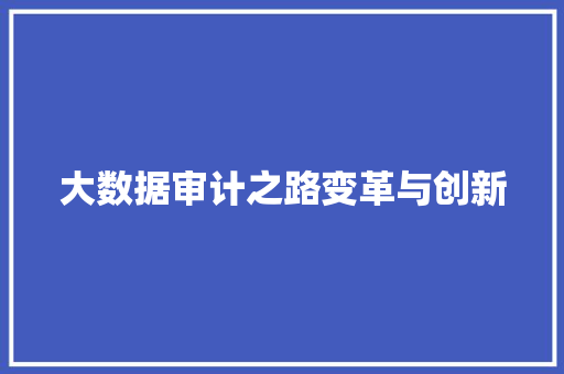 大数据审计之路变革与创新