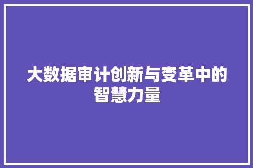 大数据审计创新与变革中的智慧力量