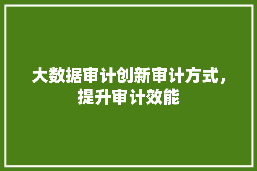 大数据审计创新审计方式，提升审计效能