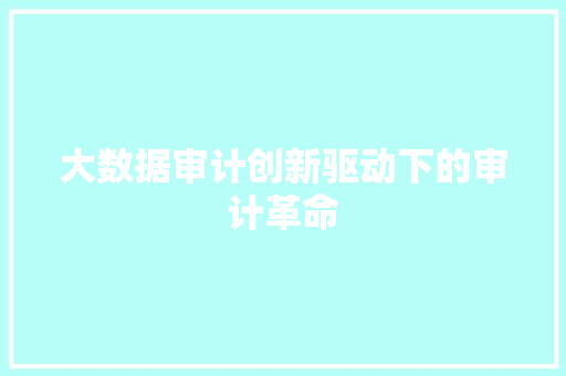 大数据审计创新驱动下的审计革命