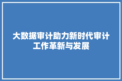 大数据审计助力新时代审计工作革新与发展  第1张