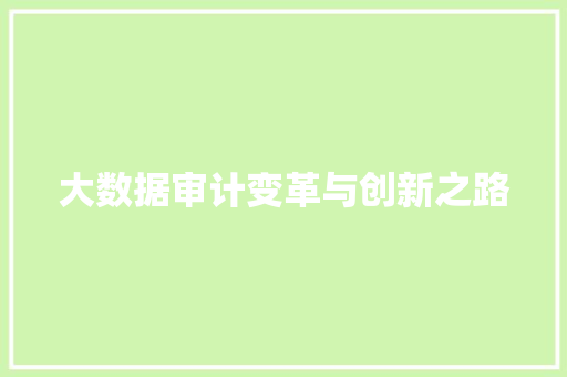 大数据审计变革与创新之路  第1张