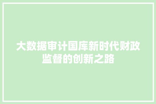 大数据审计国库新时代财政监督的创新之路  第1张