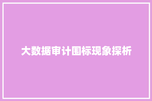 大数据审计围标现象探析  第1张
