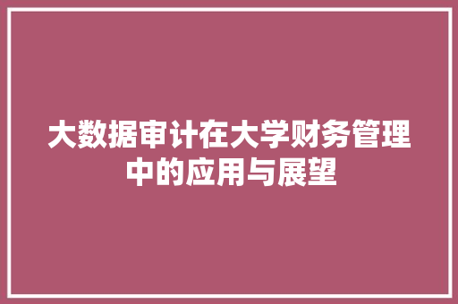 大数据审计在大学财务管理中的应用与展望  第1张