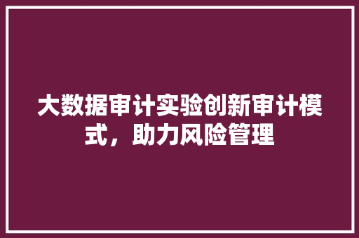 大数据审计实验创新审计模式，助力风险管理
