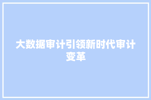 大数据审计引领新时代审计变革