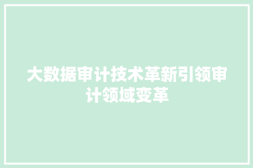 大数据审计技术革新引领审计领域变革