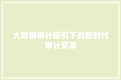 大数据审计指引下的新时代审计变革