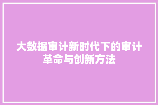 大数据审计新时代下的审计革命与创新方法