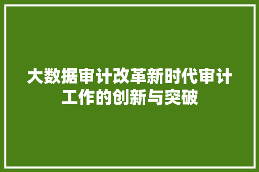 大数据审计改革新时代审计工作的创新与突破